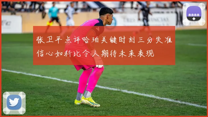 张卫平点评哈珀关键时刻三分失准信心如科比令人期待未来表现